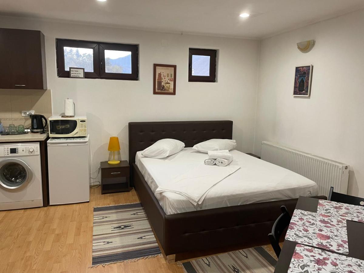 Apartament Relax Apartment Călimăneşti Bagian luar foto
