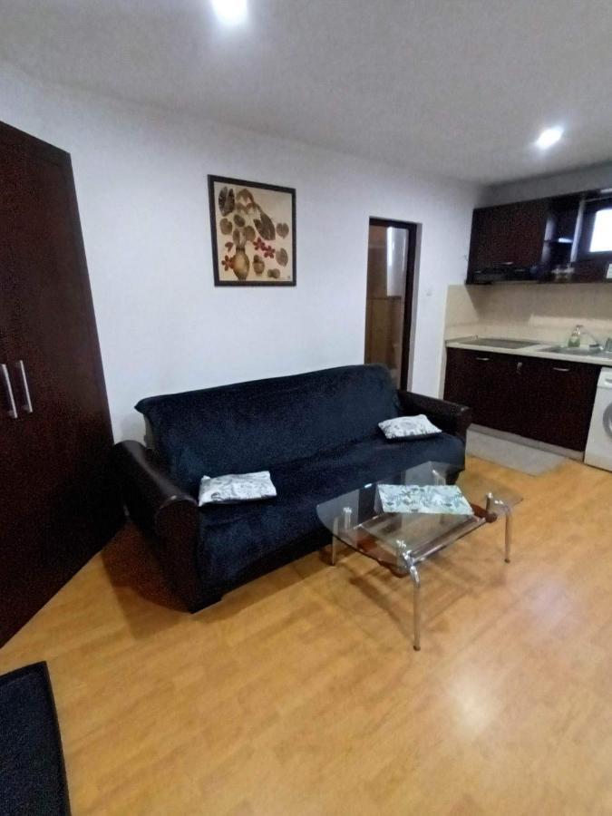 Apartament Relax Apartment Călimăneşti Bagian luar foto
